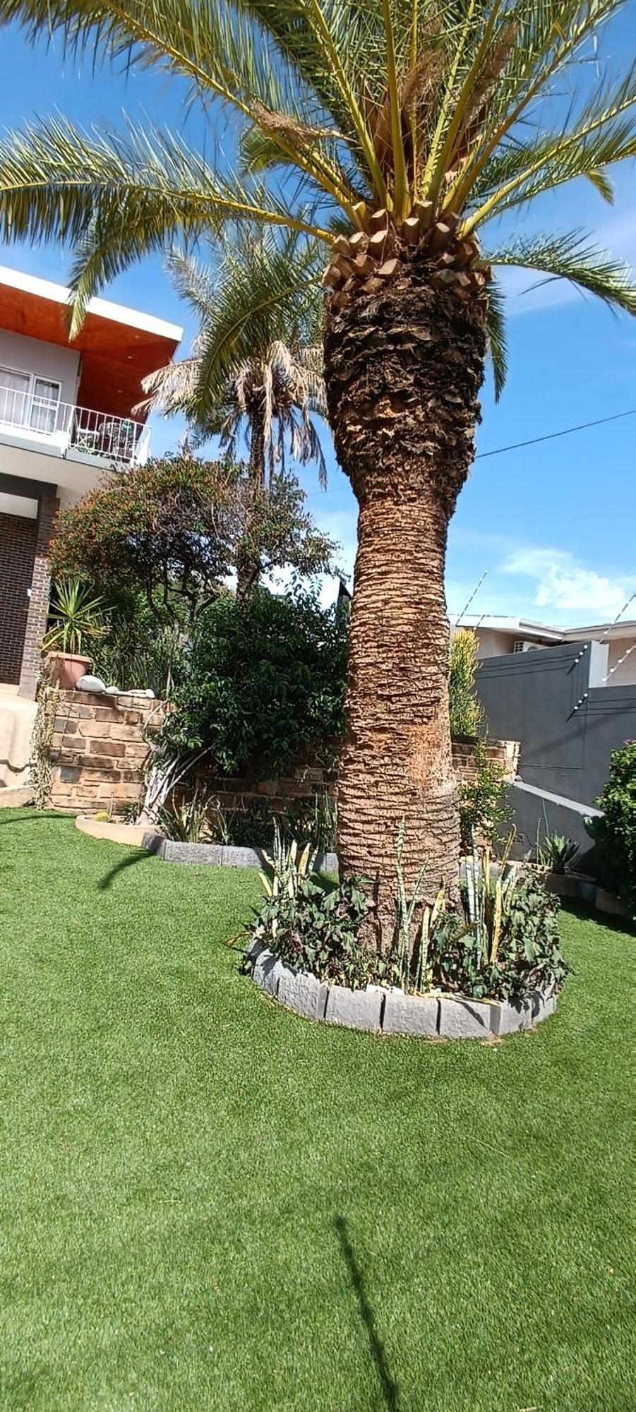 Sapphirea@54 Daire Windhoek Dış mekan fotoğraf